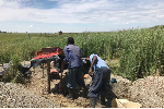 South Africa’s chrome riches fuel a deadly underground economy South Africa’s chrome riches fuel a deadly underground economy