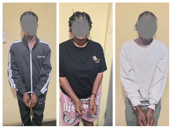 The Cyber Vetting Team says the 3 were involved in impersonation