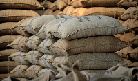 Bags of cocoa in a warehouse