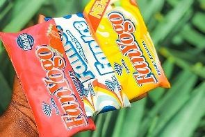 FanYogo is one of the main products of FanMilk PLC
