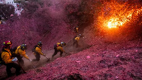 Di death toll from di wildfire for Los Angeles don rise to 24 wit16 pipo missing