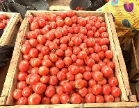 File of tomato sold on the market