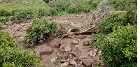 An area is damaged following a landslide that destroyed the Tersin village, in the Marra Mountains
