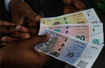 Zimbabwe urges swift adoption of new but 'scarce' currency