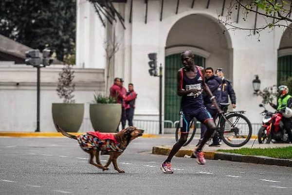 Robert Kimutai Ngeno chased by a dog