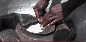 Fish farmer laments coronavirus impact; seeks govt support