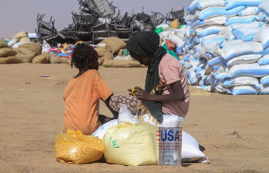 Sudanese girls who fled el-Fasher receive humanitarian aid at the Al-Afad camp