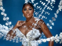 Nana Akua Addo is a Ghanaian fashion icon