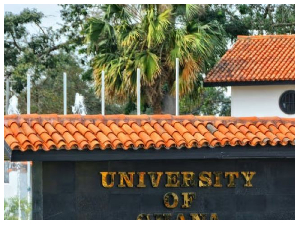 UTAG opposes allocation of office-holding roles to post-retirement contract staff