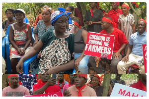 A photo of the aggrieved farmers