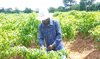 A farmer working on his farm