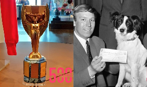 The 1996 World Cup trophy was founded by dogs