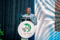 Board Chairman of the Ghana Investment Promotion Centre, Akwasi Opong-Fosu