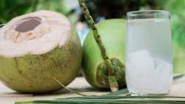 Coconut is packed with lots of fiber and nutrients