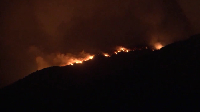 A wildfire burns through a forest in Jijel, Algeria