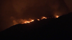 A wildfire burns through a forest in Jijel, Algeria