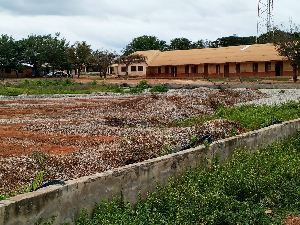 Wamfie Astroturf Project 