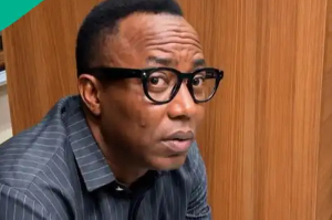 Omoyele Sowore has allegedly been kidnapped in Ekiti
