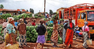 Tanzanian traders have been ordered to halt all shipments to South Africa and Malawi
