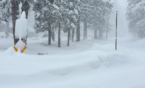 Snow falls on Tuesday in Truckee, California. Crews were looking for multiple backcountry skiers