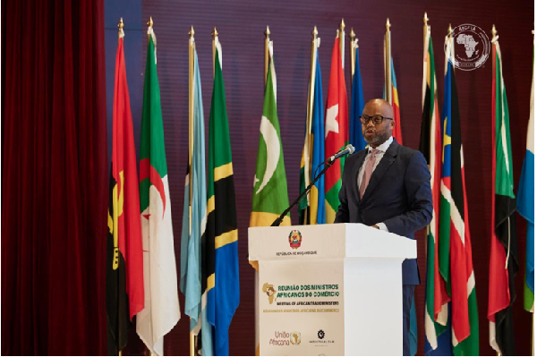 Wamkele Mene participated in the African Group Ministerial Meeting on WTO matters