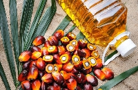 Oil palm production in Ghana