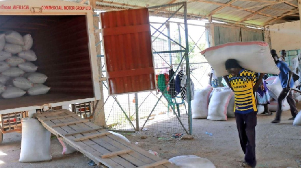 Casual workers load bags of unprocessed rice on lorries from National Irrigation Board office