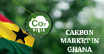 Carbon Markets: Adoption of new standards good for Africa  - Experts