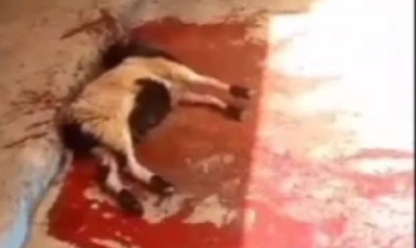 A scene showing the ritual performed to remove the chief