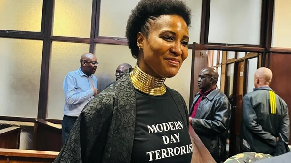Zuma-Sambudla's outfit at a preliminary hearing sought to ridicule the accusations against  her