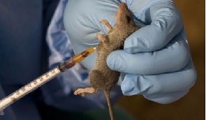 Lassa fever is an animal-borne, or zoonotic, acute viral illness