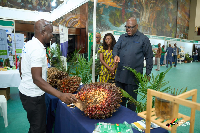 GIPC CEO, Simon Madjie pointing at a palm fruit