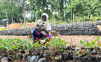 Yakuba Ketiba shares broad smile after seeing the growth of her shea nursery