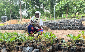 Yakuba Ketiba shares broad smile after seeing the growth of her shea nursery