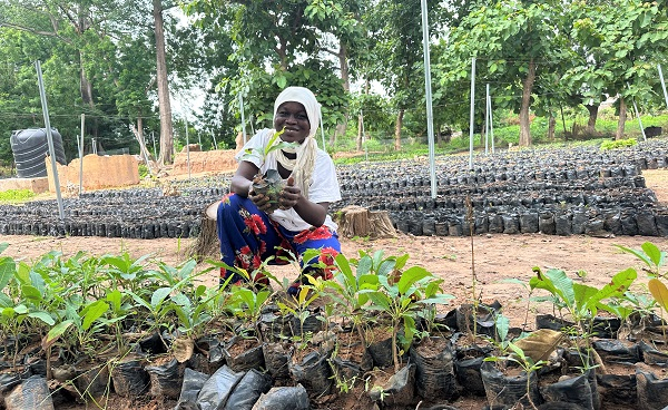 Yakuba Ketiba shares broad smile after seeing the growth of her shea nursery