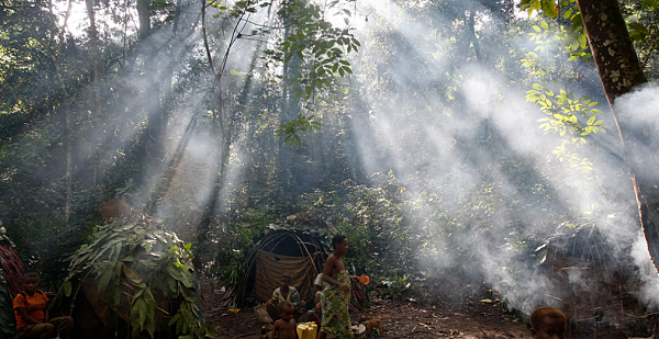 Sunbeams light smoke rising from huts in an Mbuti camp in Okapi Reserve