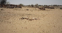 Dead animals in Tawilla, Darfur. Image via USAID/Wikimedia Commons