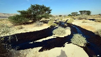 File photo of a stream of leaked oil in the desert