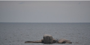 Part of Lake Victoria