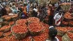 Ghana targets annual tomato production of 400,000 tonnes with launch of GHATSI