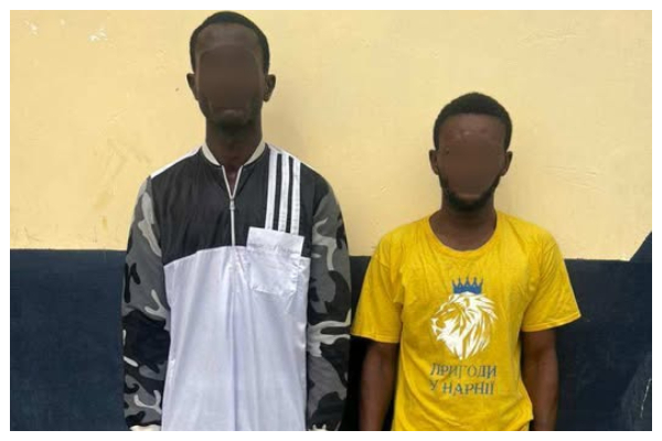 A photo of the suspects