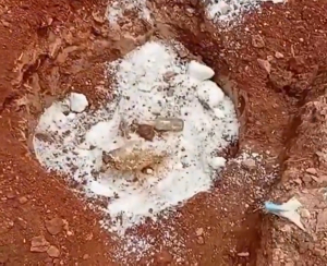 Pig skull with a spiritual bottle has been discovered under a demolished church building