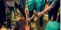 Speaker of Parliament Alban Bagbin  planting tree