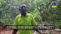 The farmers spoke to GhanaWeb's Frank Aboagye Addo