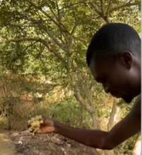 A man offering kenkey as sacrifice to the river god