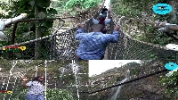 Photos from the Amedzofe Canopy Walkway