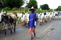 A Fulani herdsman