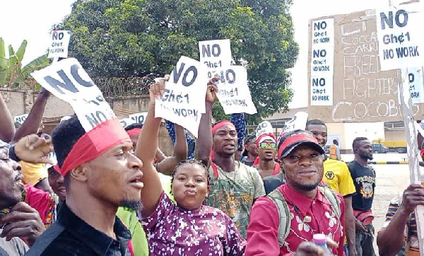 Cocoa farmers in Ashanti Region fell trees in protest over insufficient price hike