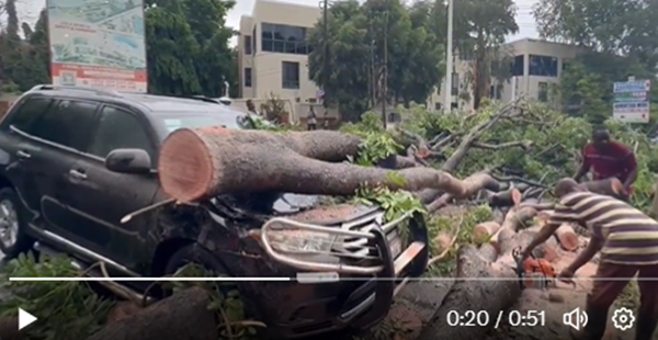 A snippet from the video of when the tree fell on a car