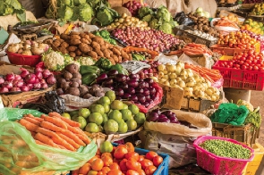 Food prices remain volatile and affordability of food and inputs is starting to be of concern